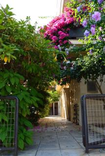 Roula's Apartment 1 - Chania - 6