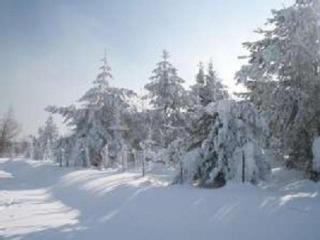 Haus Bergblick Bay. Wald - Prackenbach - 3