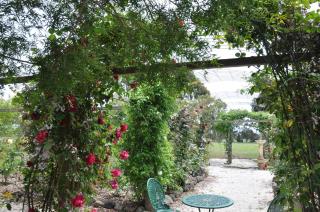 Fairy Wren Cottage Country to Coast Retreat - 6