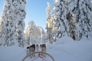 Rukariutta Apartments - 2