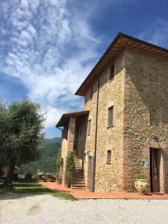 Podere Schioppello Casale con appartamenti privati - Cibottola - 5