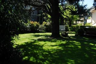 La Villa Del Cedro - Monza - 8