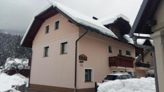 apartma Albina - Kranjska Gora - 3