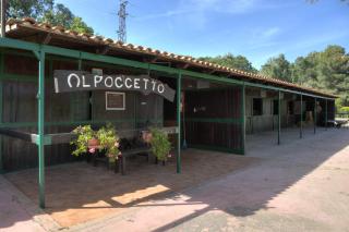 Agriturismo Al Poggetto - Piana degli Albanesi - 1