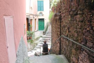 Guardando le stelle - Vernazza - 7