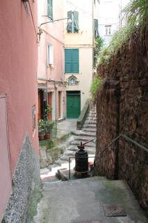 Guardando le stelle - Vernazza - 2
