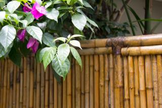 Casa Clara Paraty - Paraty - 2