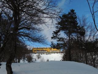 Grand Hotel Astoria - Lavarone - 9