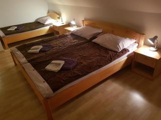 Apartments Sušnik - Bohinj - 8