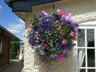 Brandon Lodge - Hereford - 7