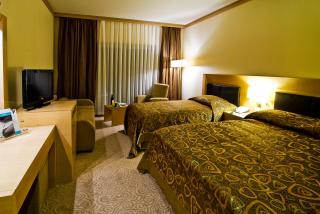 Adrina Termal Health & SPA Hotel - Gure - 9