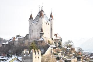Hotel AM Schloss - Thun - 8