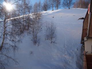 Alpine Hideout - Les Deux Alpes - 1