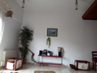 Location Landes Mimizan Plage - Mimizan-Plage - 4