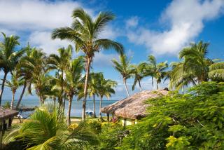 Waidroka Bay Resort - Korovou - 5