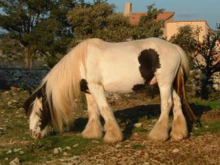 le petit coin de Noah - 8