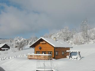 Kiczurka Bieszczady - Baligród - 6