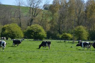 Le Domaine des Terres du Thil - Canehan - 5