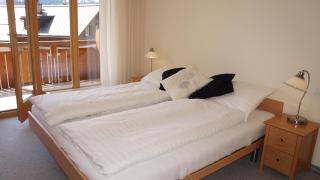 Chalet Bella Vista 3 - Wengen - 3