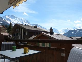 Chalet Bella Vista 3 - Wengen - 6