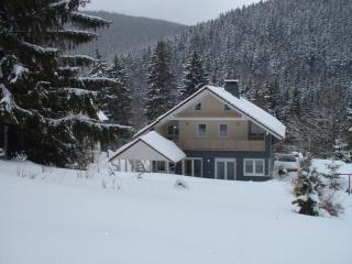 Ferienwohnung Hermannstein - Ilmenau - 9