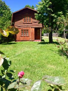 Cabañas el arrayan neltume - 8