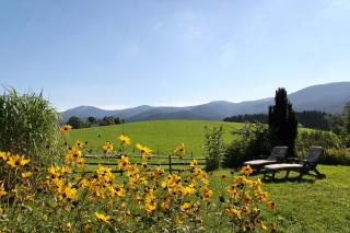 Ferienwohnungen am Arber - Lohberg - 2
