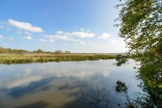 Blue Zen - Saugatuck - 4