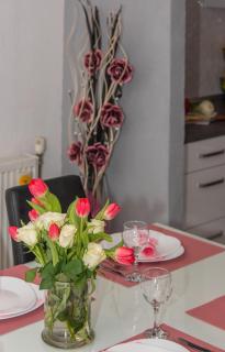 Apartman Koko with private jacuzzi - 2