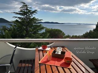 Apartman Bilandžić Drage - Drage - 8