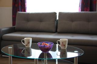 Apartament Tabaco - Łódź - 1