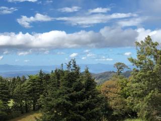 Apartamento ArteSAna - Monteverde - 0