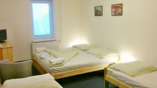 Hostinec U Pejska a Kocicky - Mariánské Lázně - 4