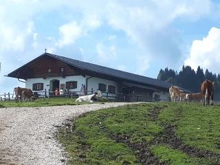 Ferienwohnung Kreuz - Grassau - 3