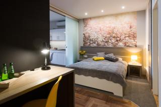 Sunflower Apartment - Cracovia - 0