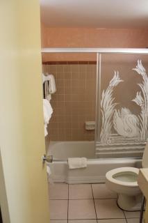 Grand Prix Motel Beach Front - Daytona Beach - 2