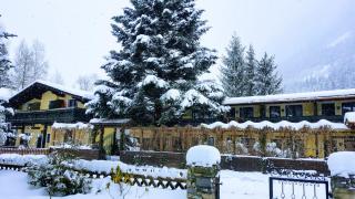 Alpen-Appartementhof - Bad Hofgastein - 9