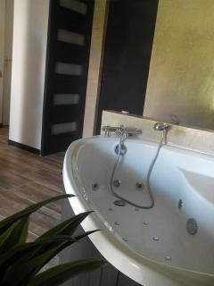 Chambre ZEN - Panazol - 2