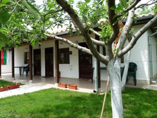 Guest House Ivanovi - Banya - 1