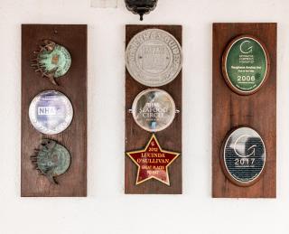 Vaughans Anchor Inn - 2