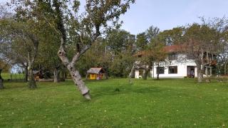 Janezinovi House - Ratečevo Brdo - 4