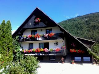 Apartments Zorč - Bohinj - 9