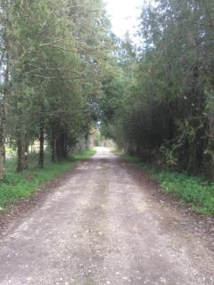 Quinta de Coalhos TH - Abrantes - 3