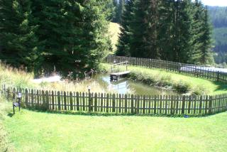 Rüggenhütte - Hochfeistritz - 3