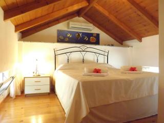 VILLAS CARISMA - Natural Style Villas for 14 people - Sivota - 6