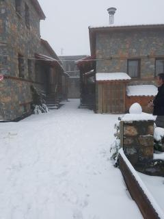 Aroma Elatis - Palaios Agios Athanasios - 5