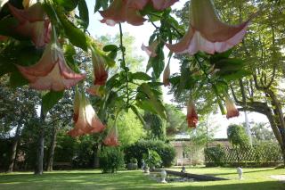 Le Mas du Chanoine - Saint-Paul-de-Vence - 3