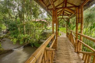 Ecohotel Piedemonte - Salento - 8