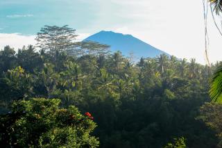 The Payogan Villa Resort and Spa - Ubud - 6