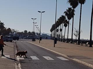 Apartamento Santa Barbara - Conil de la Frontera - 1